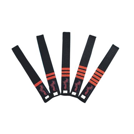 FT-91 Professional Rank Belts